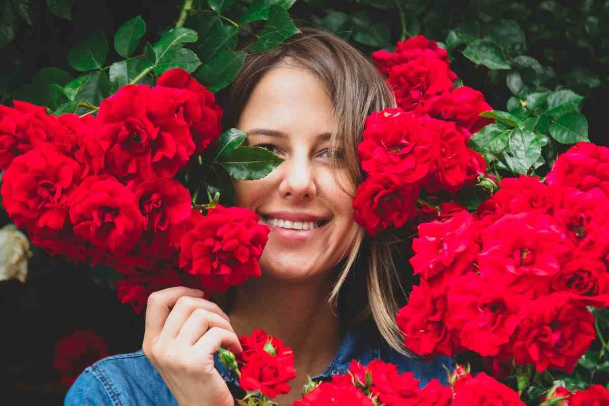 10 Florist Flower Types Used In Bouquets