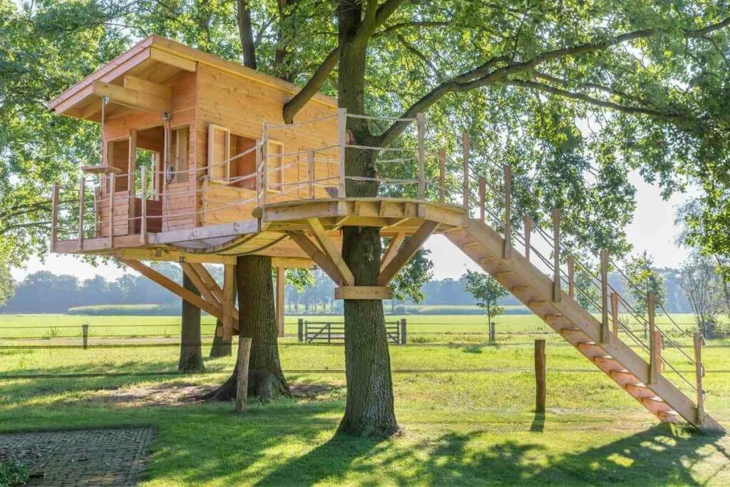 Home Away From Home Treehouse