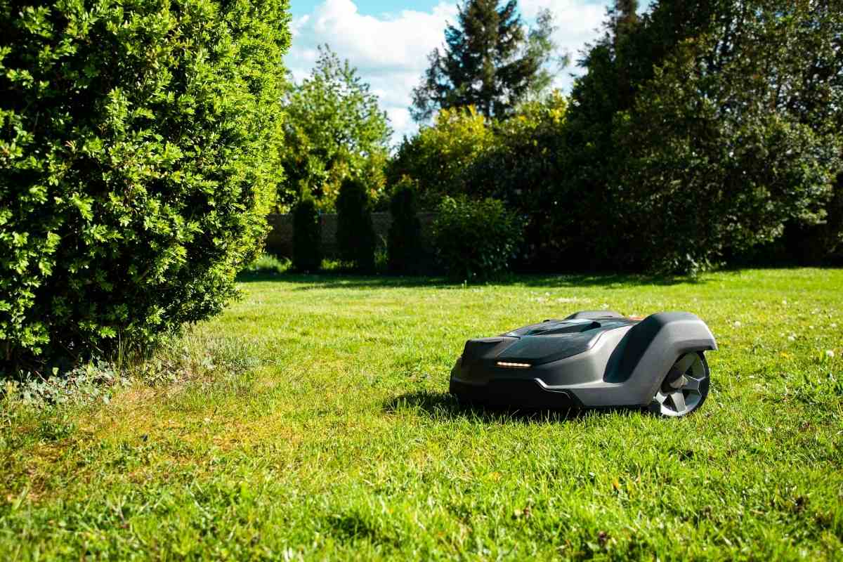 How to Clean and Take Care of a Robotic Mower?