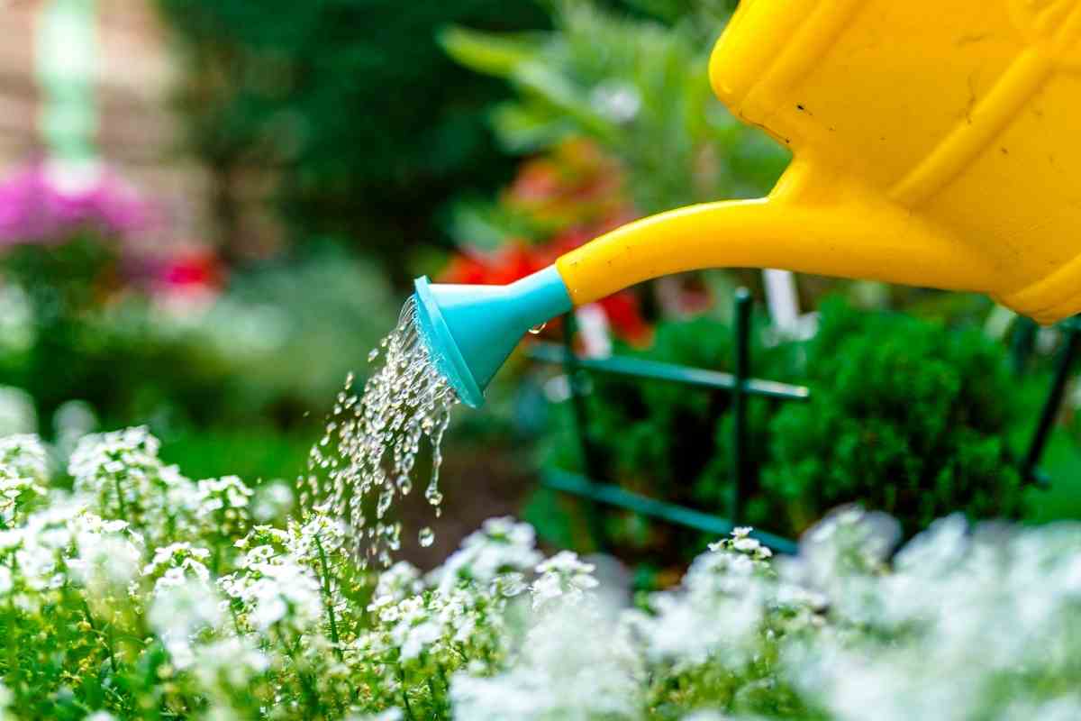 Portable Vertical Raised Garden Beds (Top 5 Online)