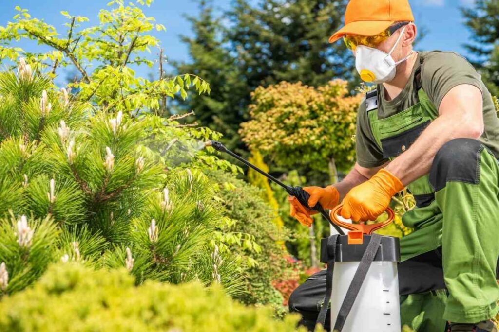 Spotted lanternfly insecticide tips