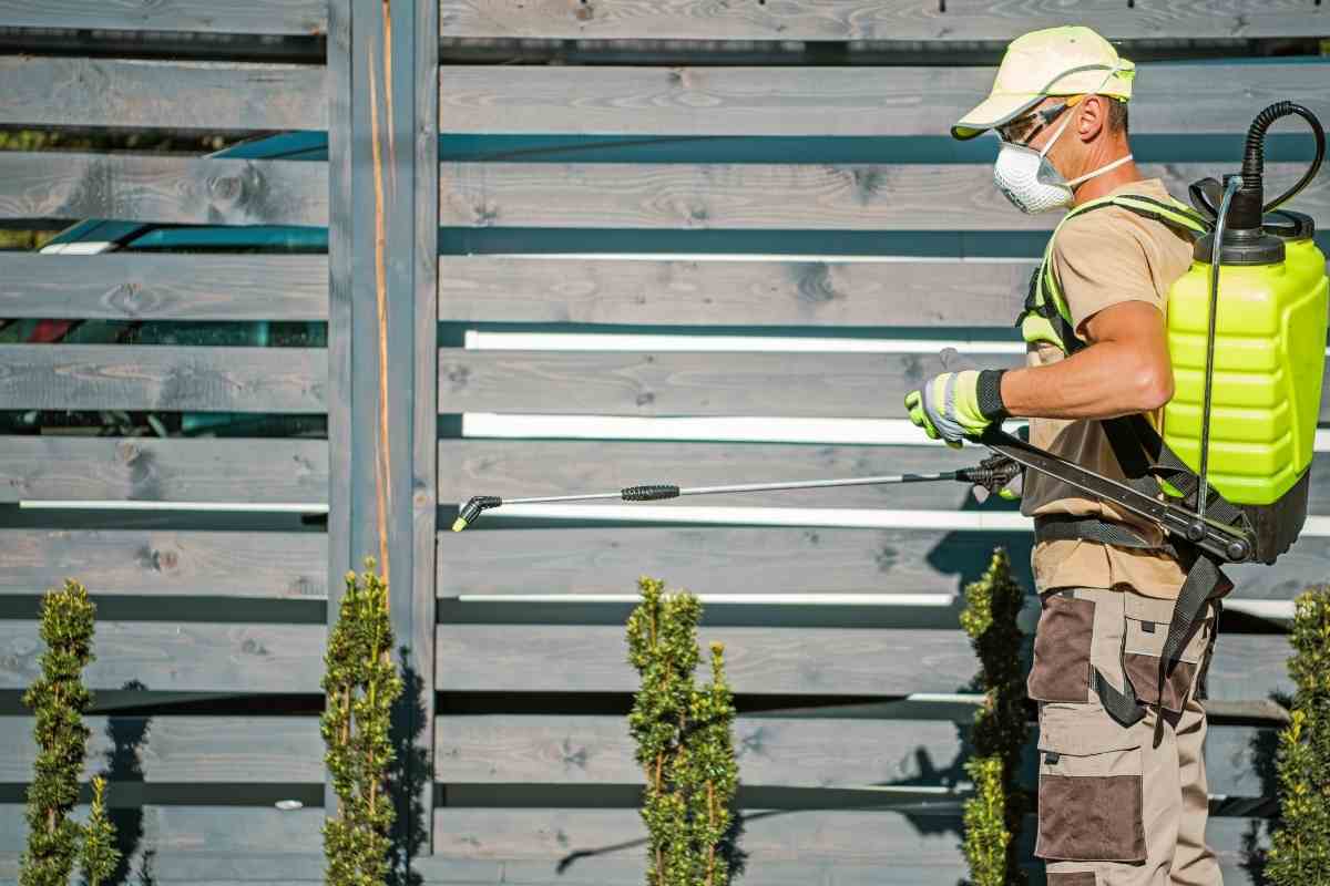 What Insecticide Kills Spotted Lanternfly?