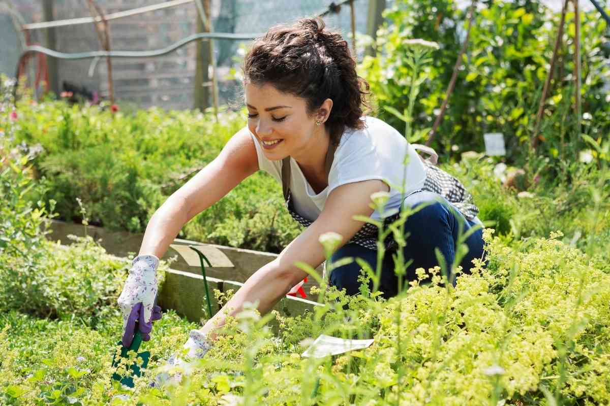 Best Garden Clogs For Women (Including Sloggers)-Buyer’s Guide