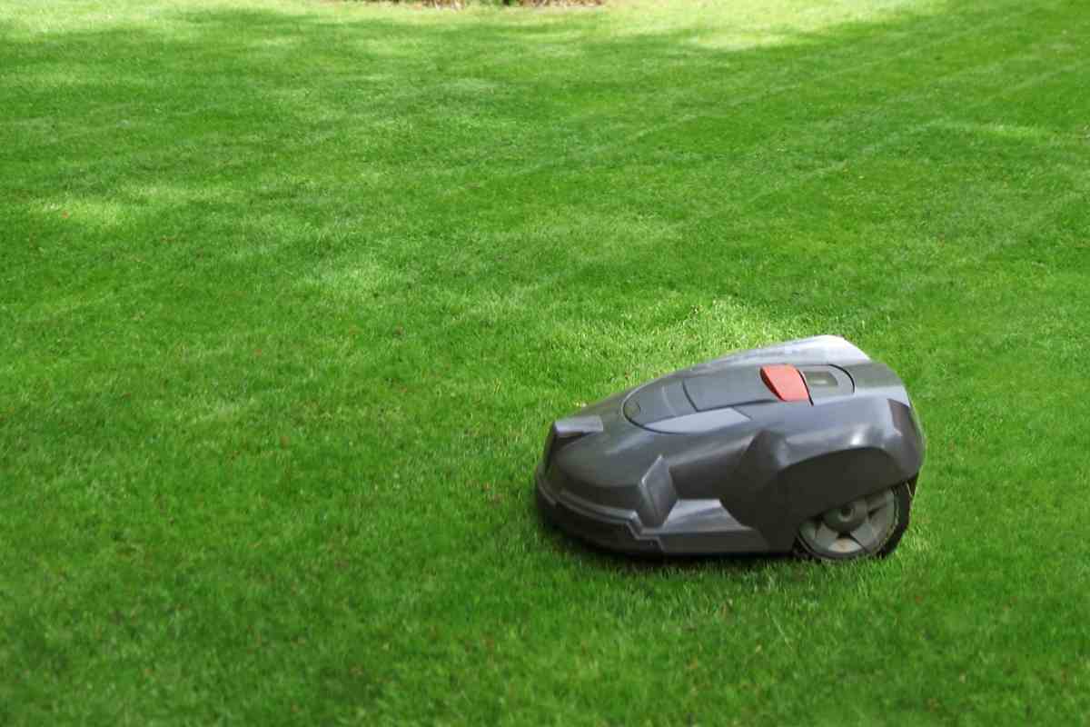 Are Robotic Mowers Loud?