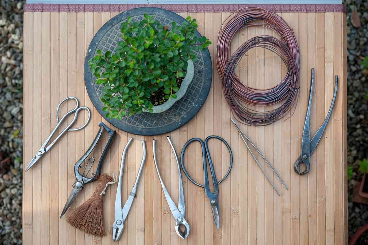 Japanese Bonsai Tools Explained