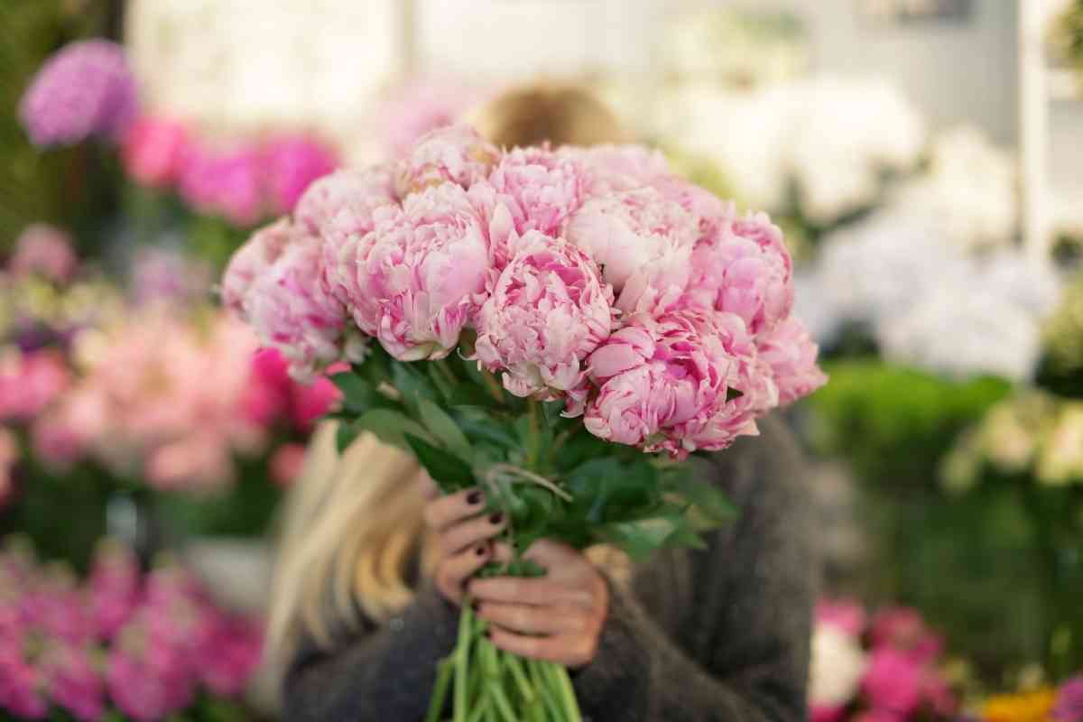 What To Do with Your Peony Bushes After They Bloom