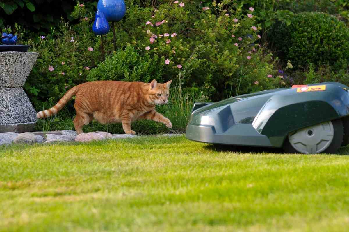 Which Robotic Mower Trims the Closest to the Edge?