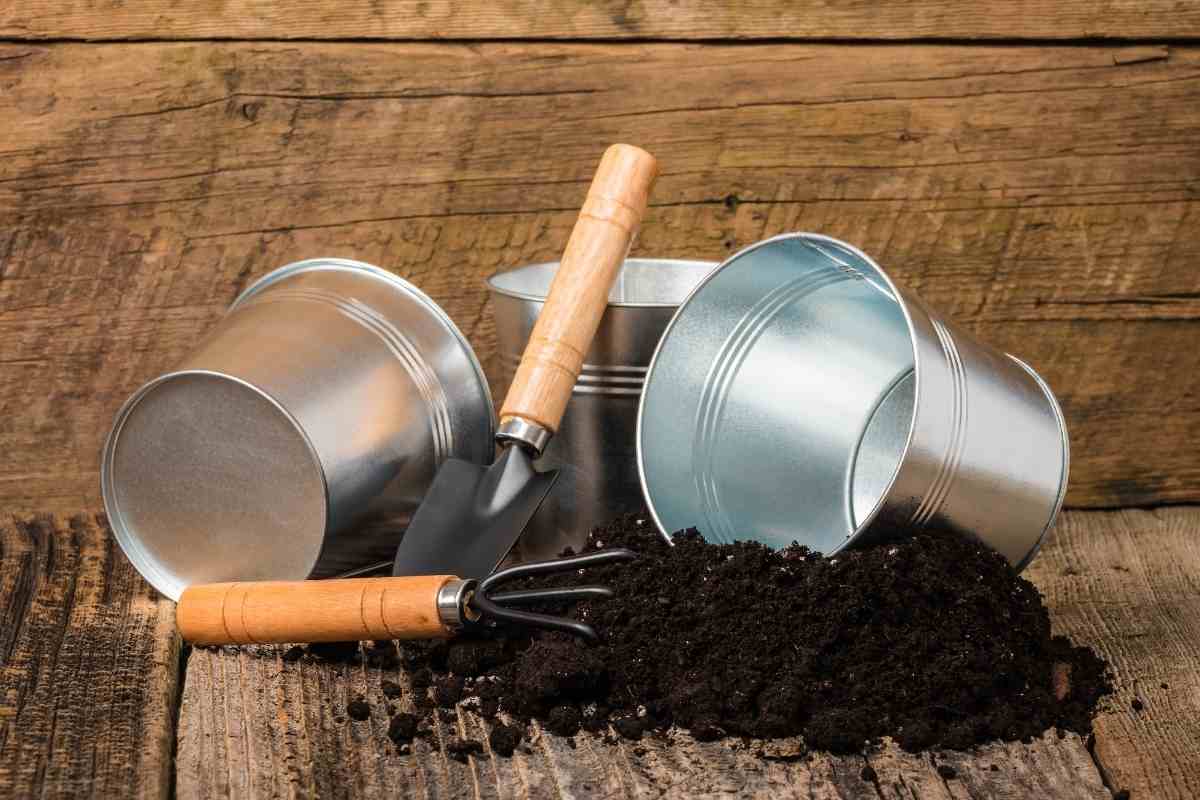 How to Sterilize Soil (Quick and Organically Friendly)