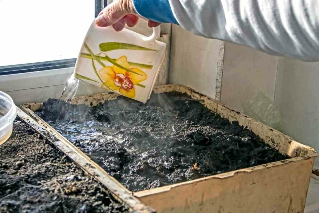 Methods of Sterilizing Potting Soil with boiling water