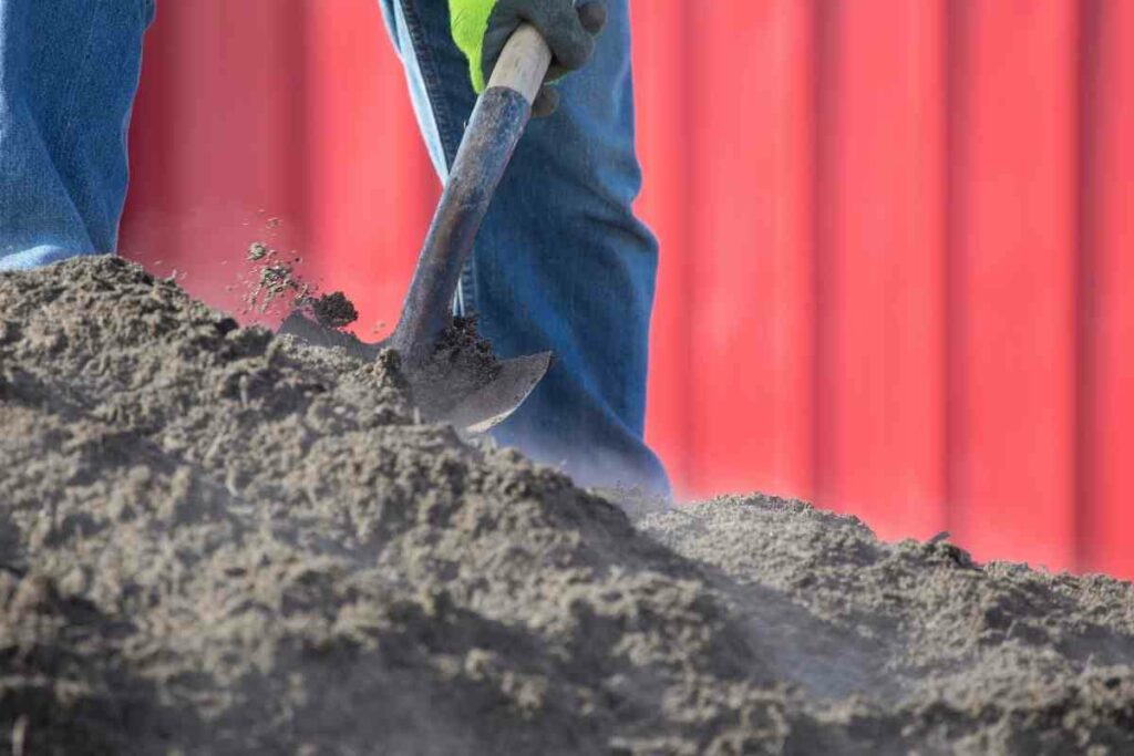 Sterilizing the soil by steaming
