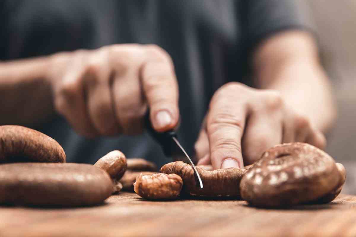 Why Do I Have Black Mushrooms In My Backyard?