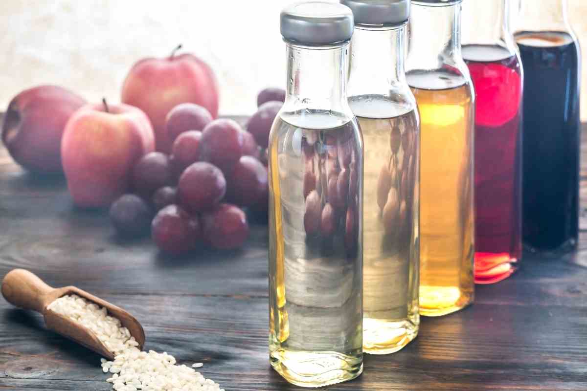 Will Vinegar Kill Succulents?