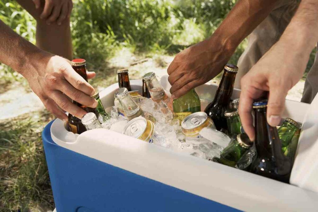 Best Cooler for Backyard Parties