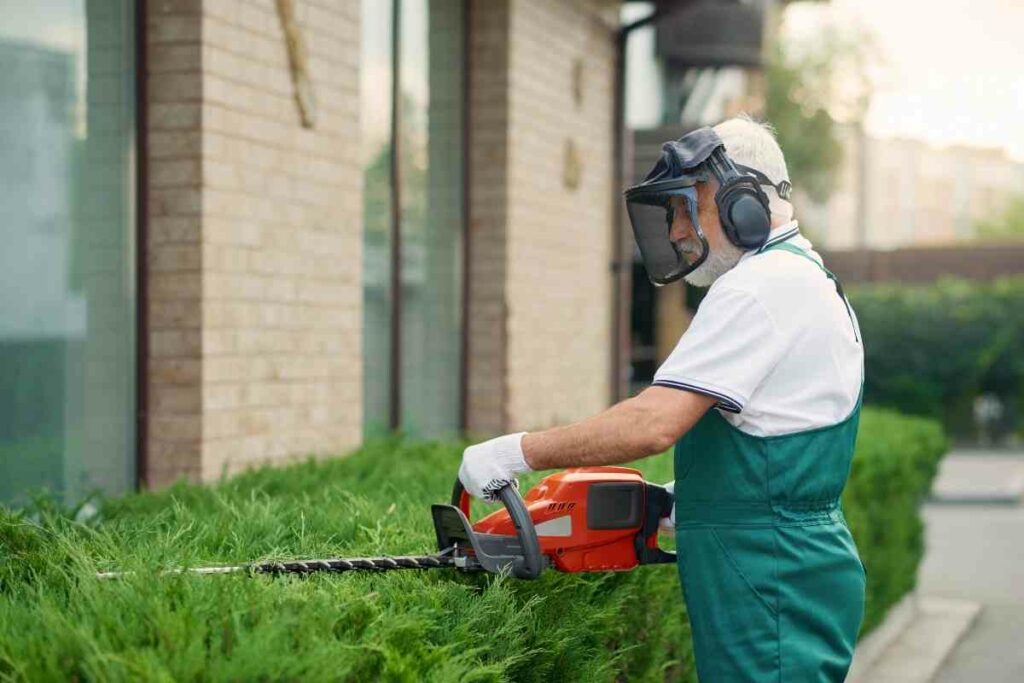 Using gardening ear defenders