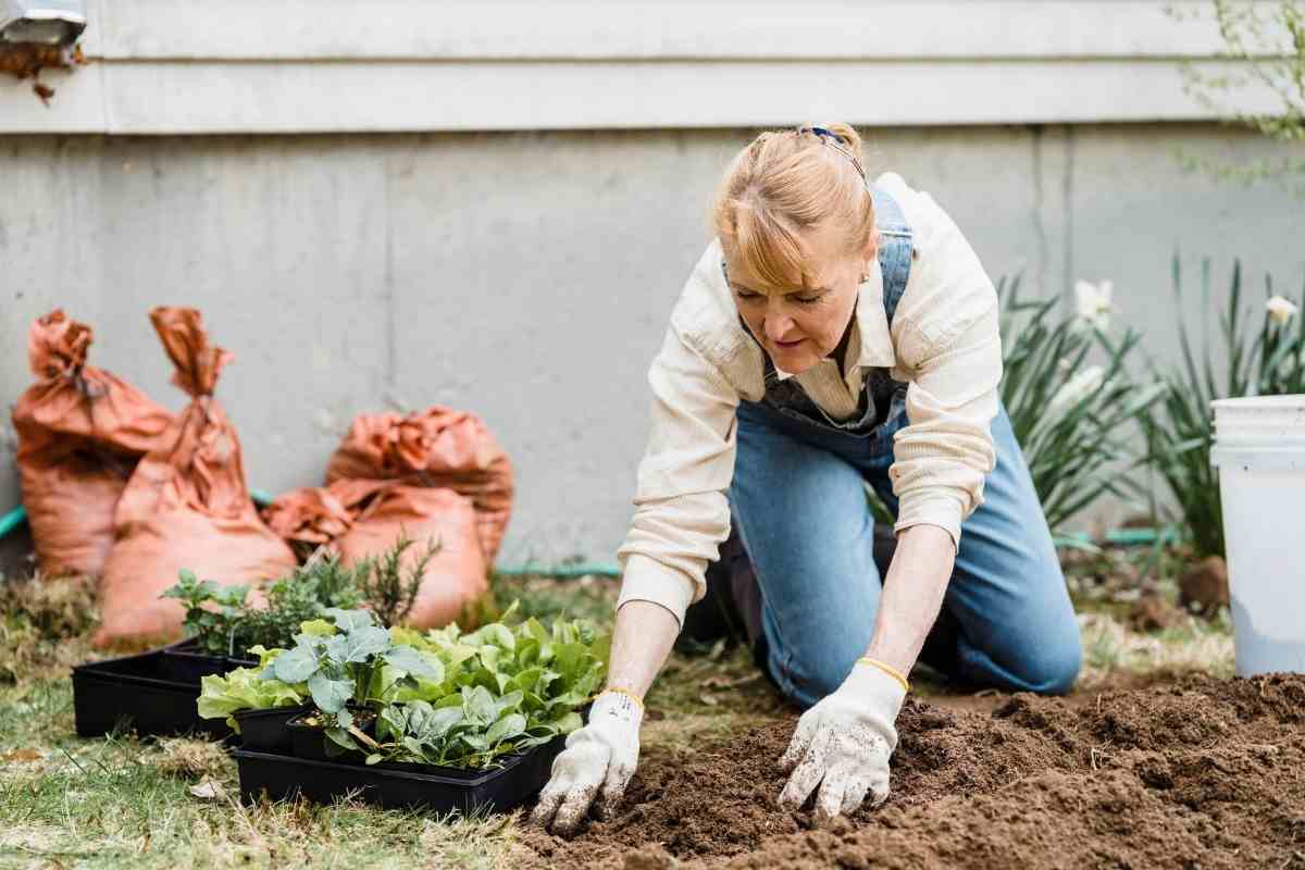 Complete Guide To Garden Soil Mixers (DIY And Store Bought)