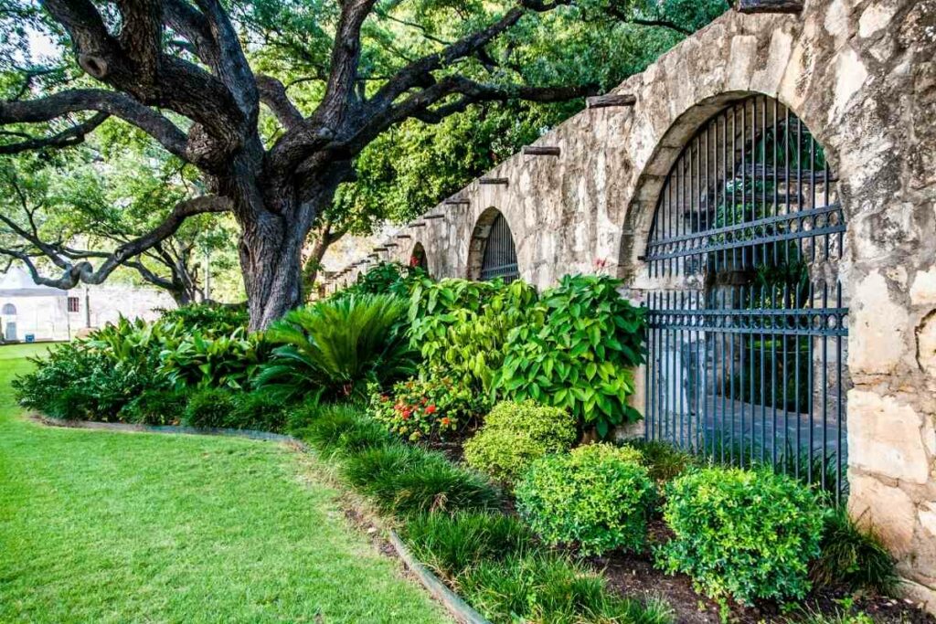 Best Garden Wall Ideas