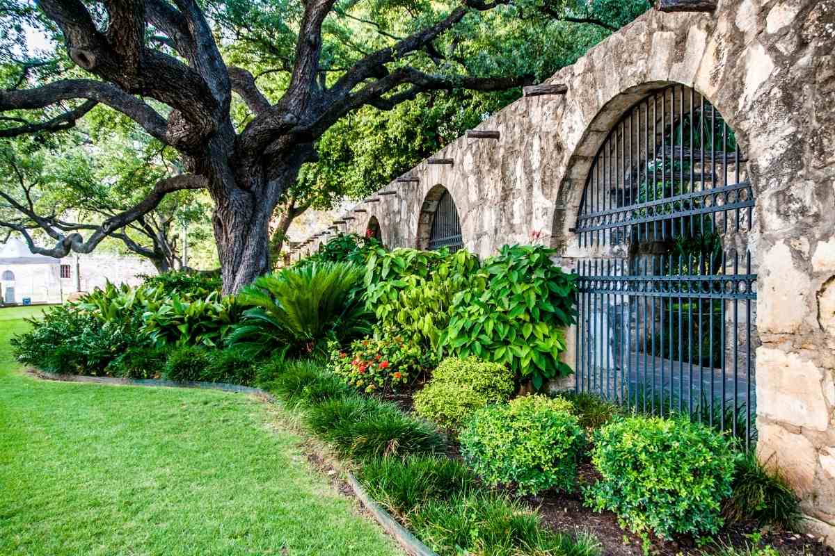 25 Garden Wall Ideas That You’ll Love