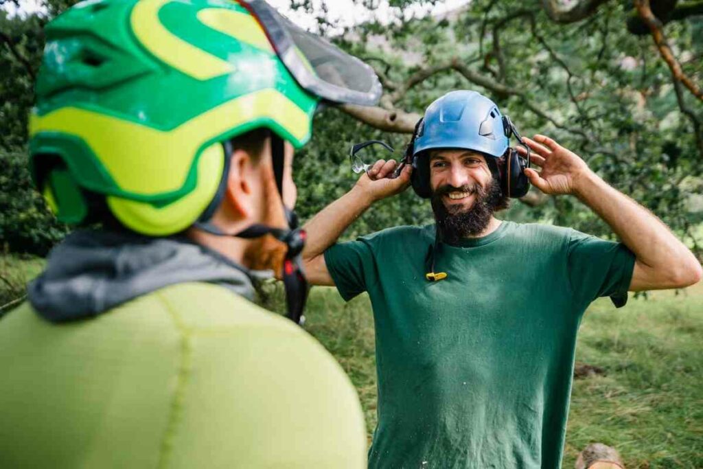 Buyers guide for gardening ear defenders