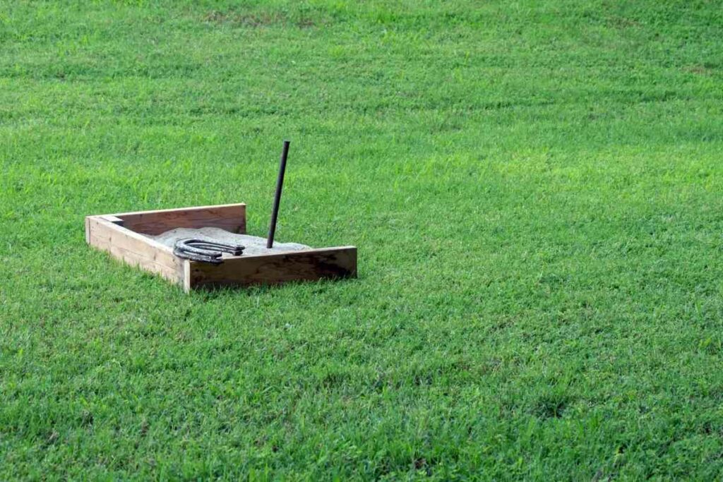 Horseshoes outdoor family reunion games