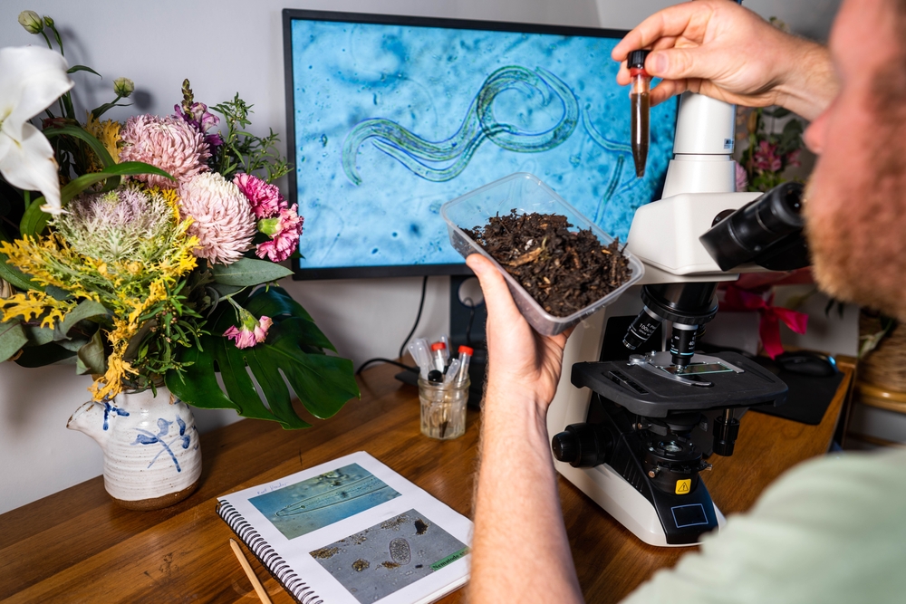 What Are These Tiny White Worms In My Soil?