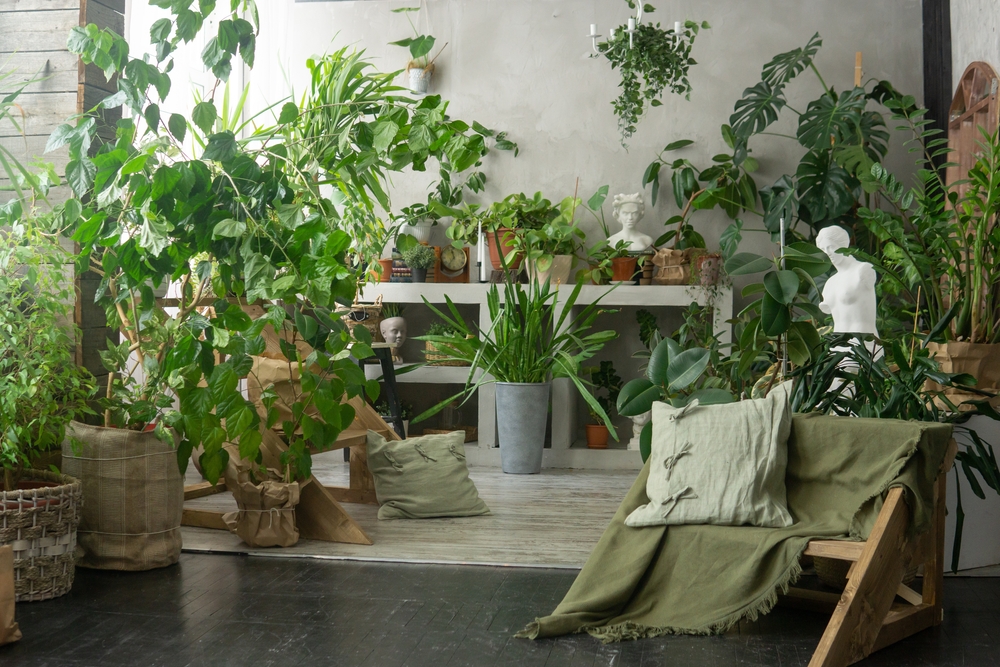 The Best Houseplants for Improving Indoor Air Quality