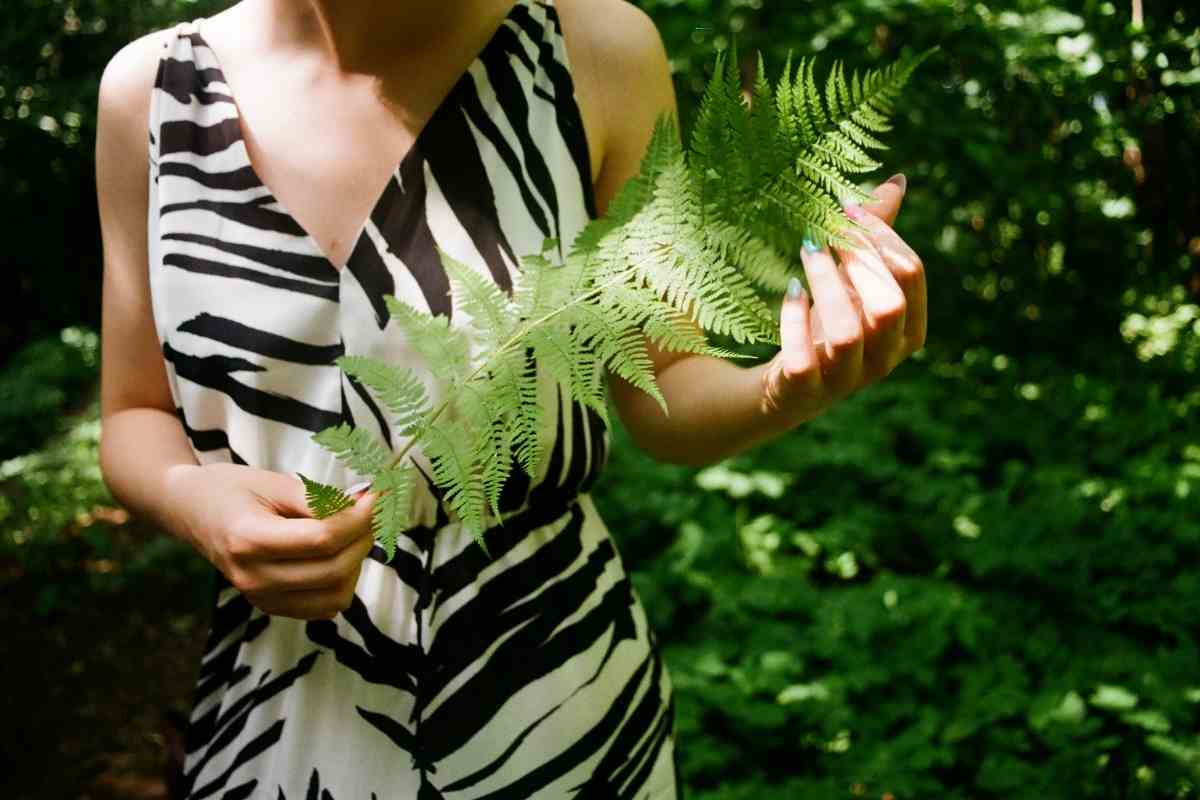 21 Hardy Fern Varieties