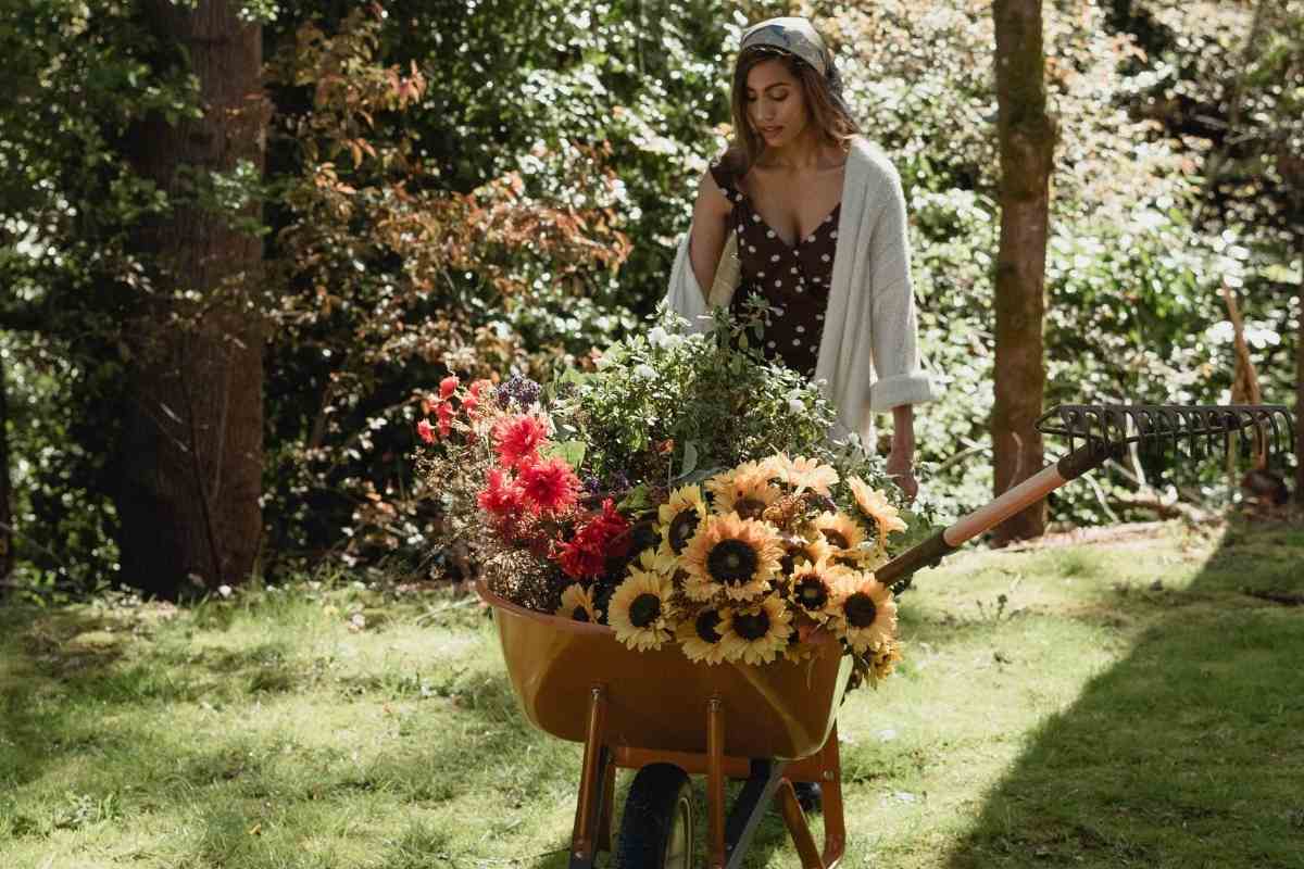 Best Wheelbarrows For Backyards