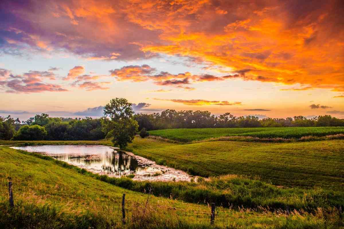 Complete Guide to Farm Ponds