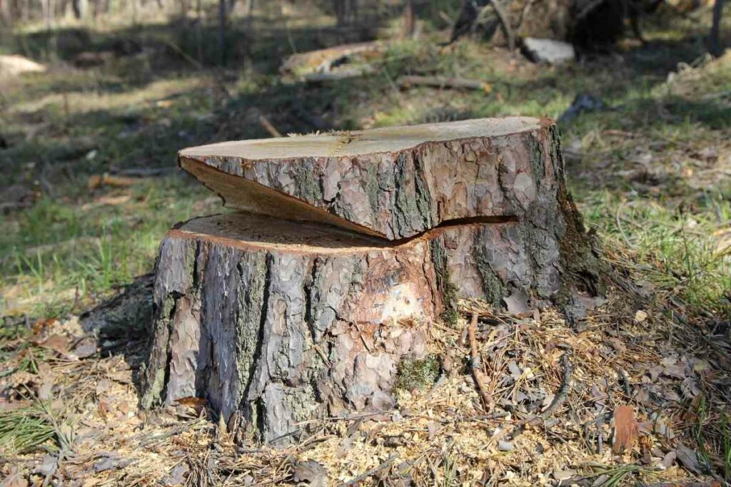 Copper nails can compromise a plant
