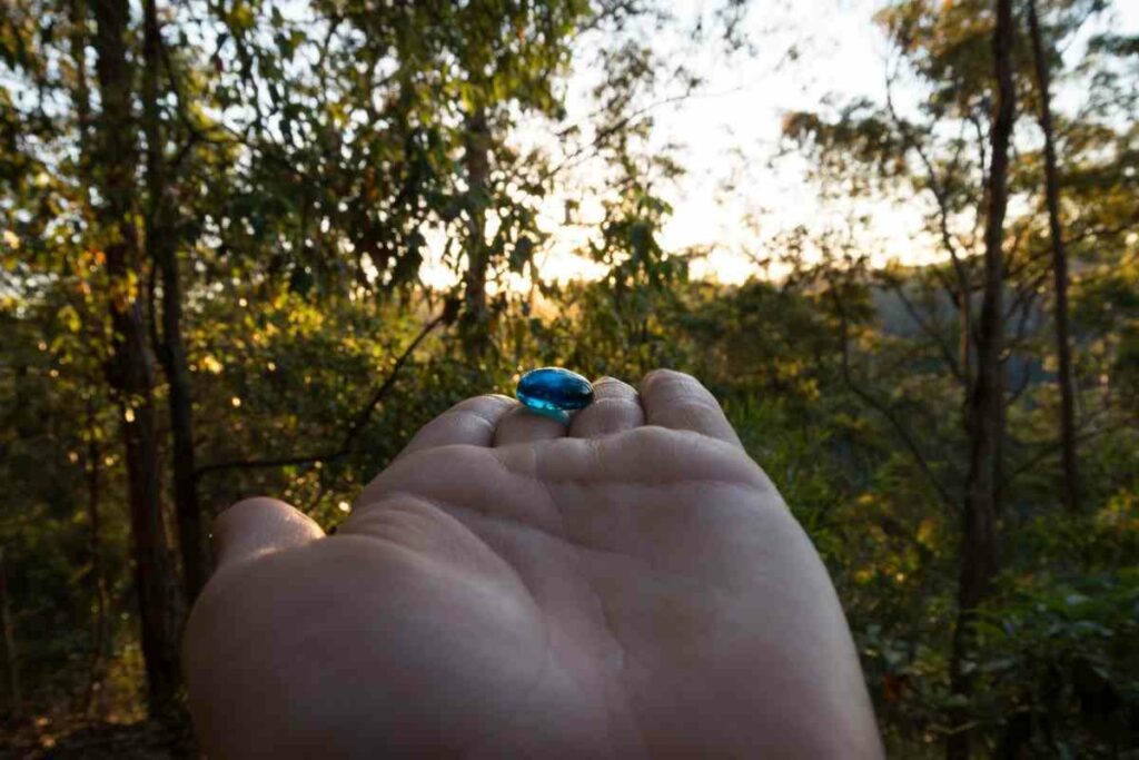 Glow dark garden pebbles guide