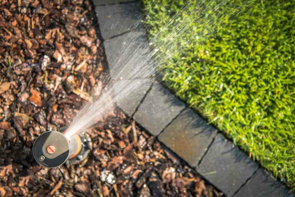 Motion-activated sprinkler benefits list
