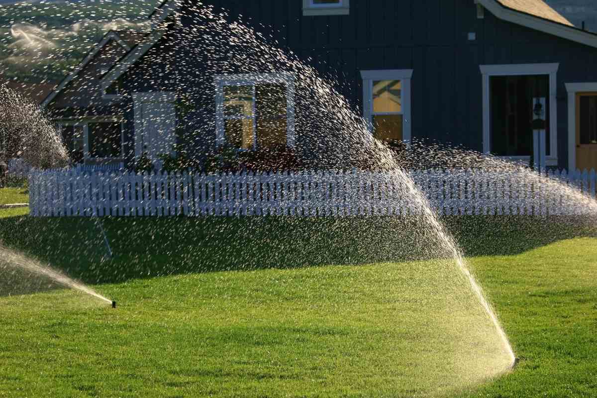Best Motion Activated Sprinklers – Natural Pest Deterrents
