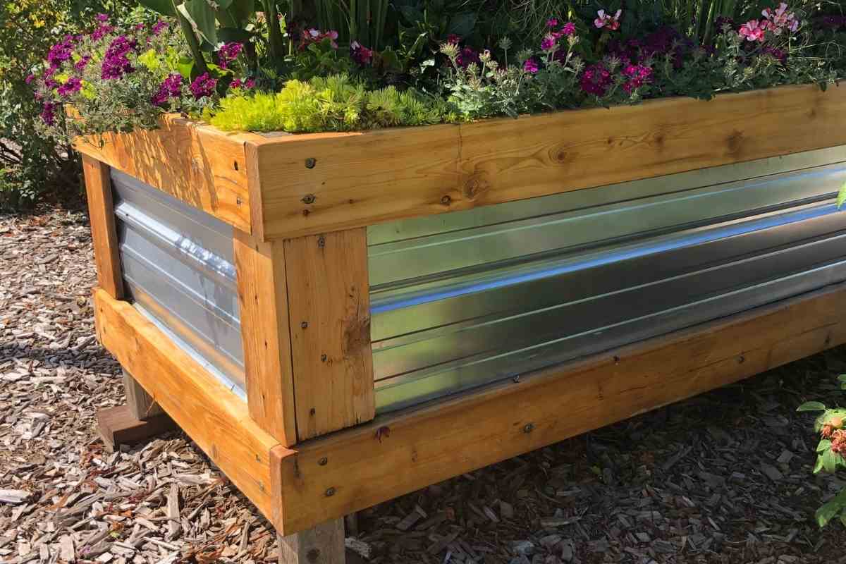 7 Amazing Self Watering Vegetable Planters