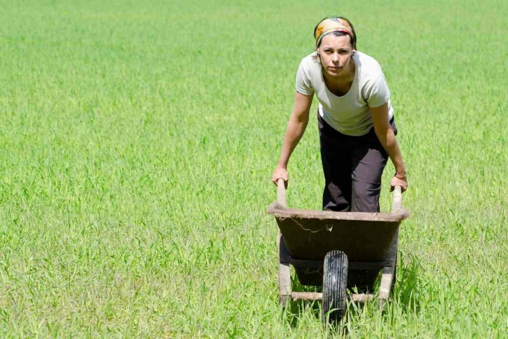 Wheelbarrows oiling faqs