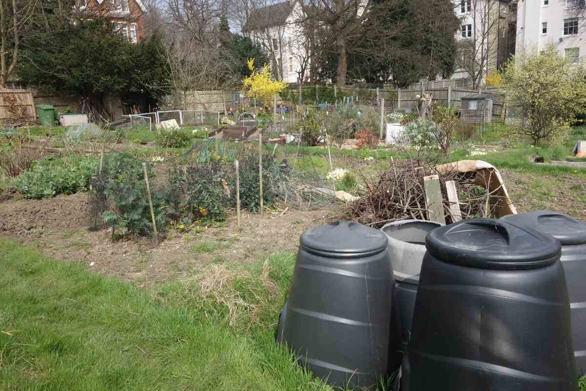 How To Get Rid Of Flies In Compost Bins (Natural And Chemical Options)
