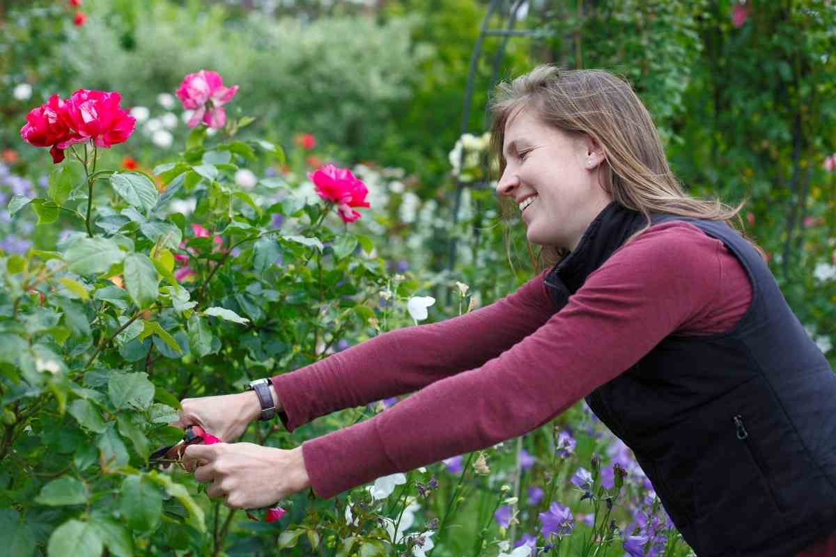 Gardening Arm Sleeves (Protect From Sharp Blades and the Sun)