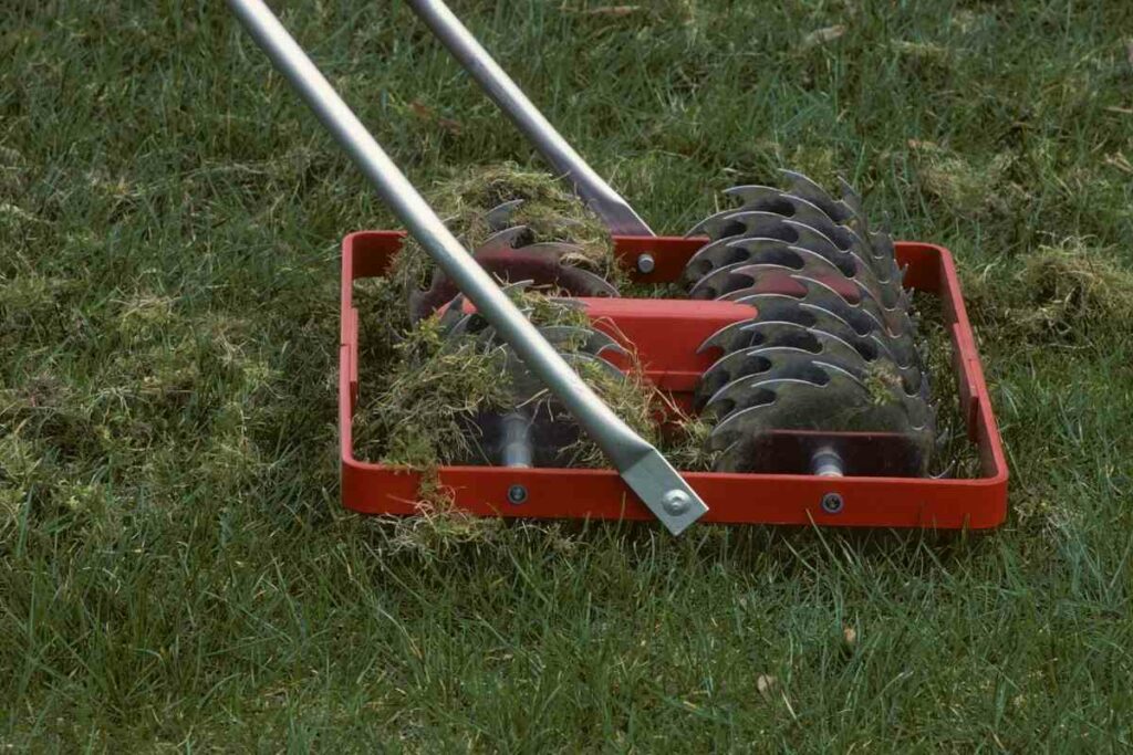 aerate lawn process