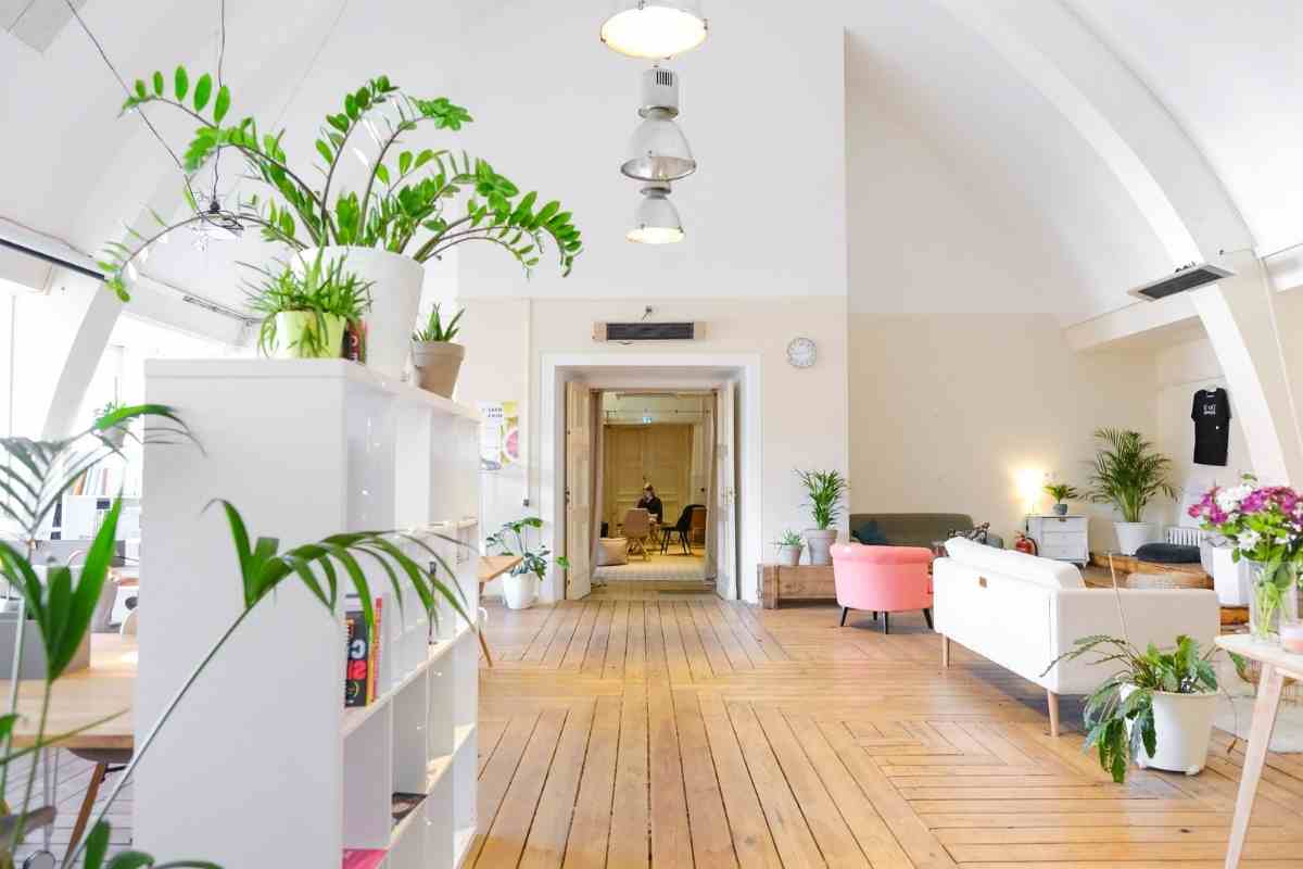 Do Humidity Trays For Plants Really Work?