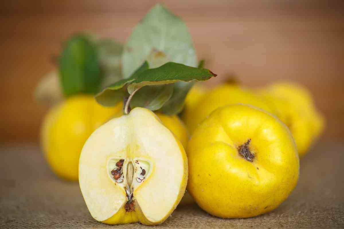 21 Yellow Fruits – Some May be New to You!