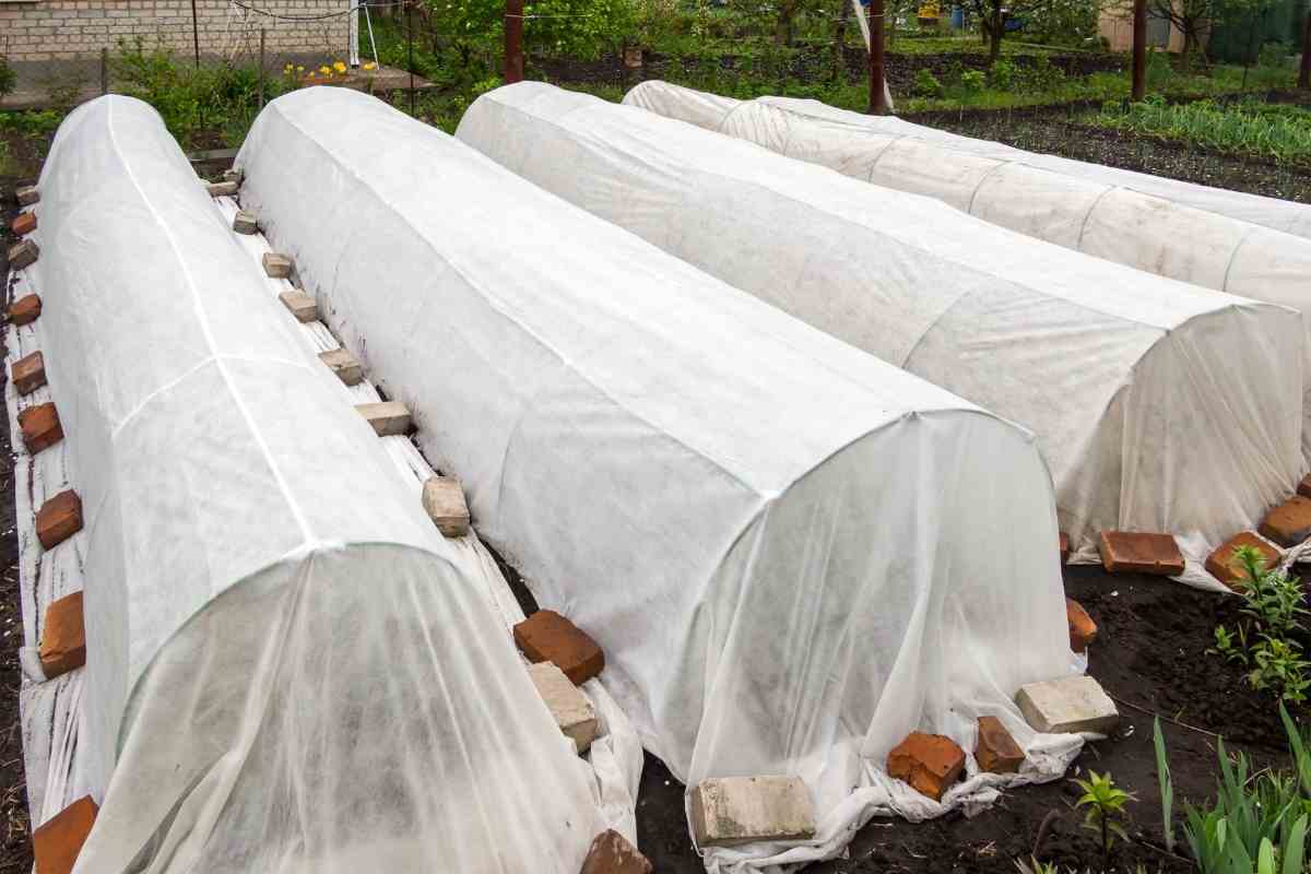 Should I Cover My Garden In The Winter