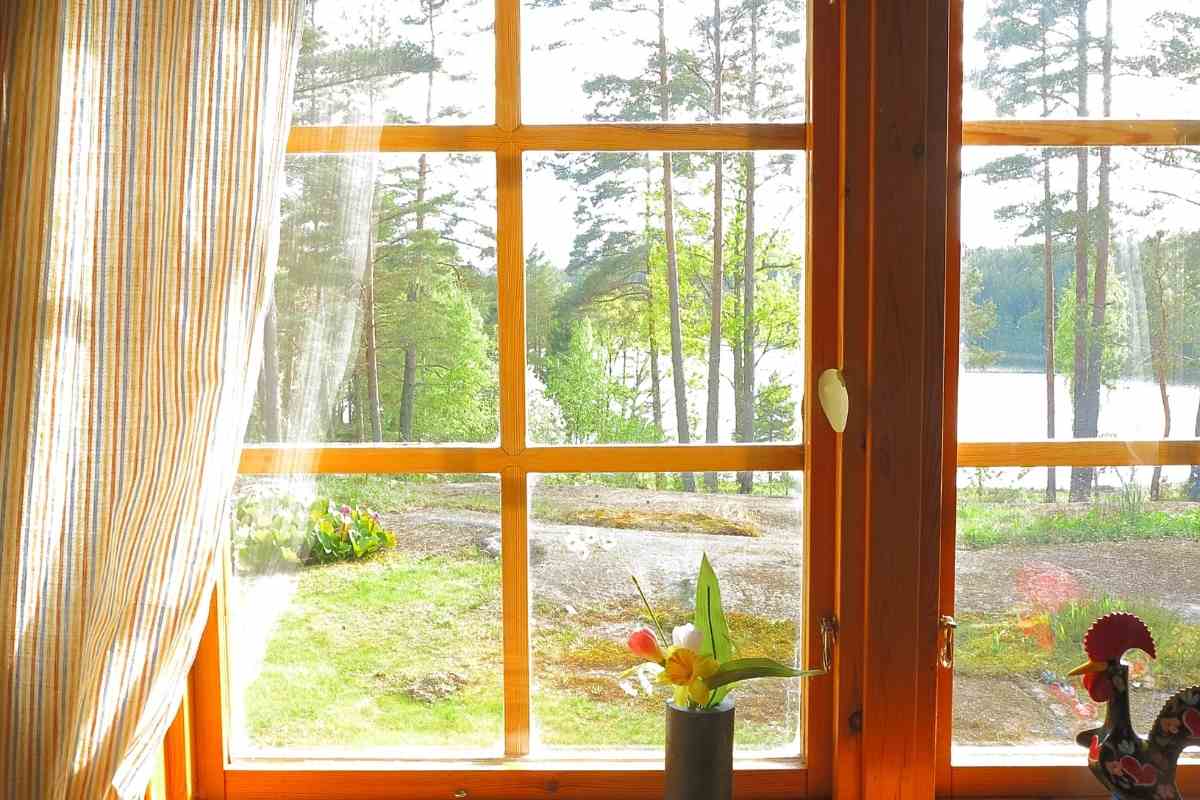 What Are These Tiny Black Bugs in House Near Window?