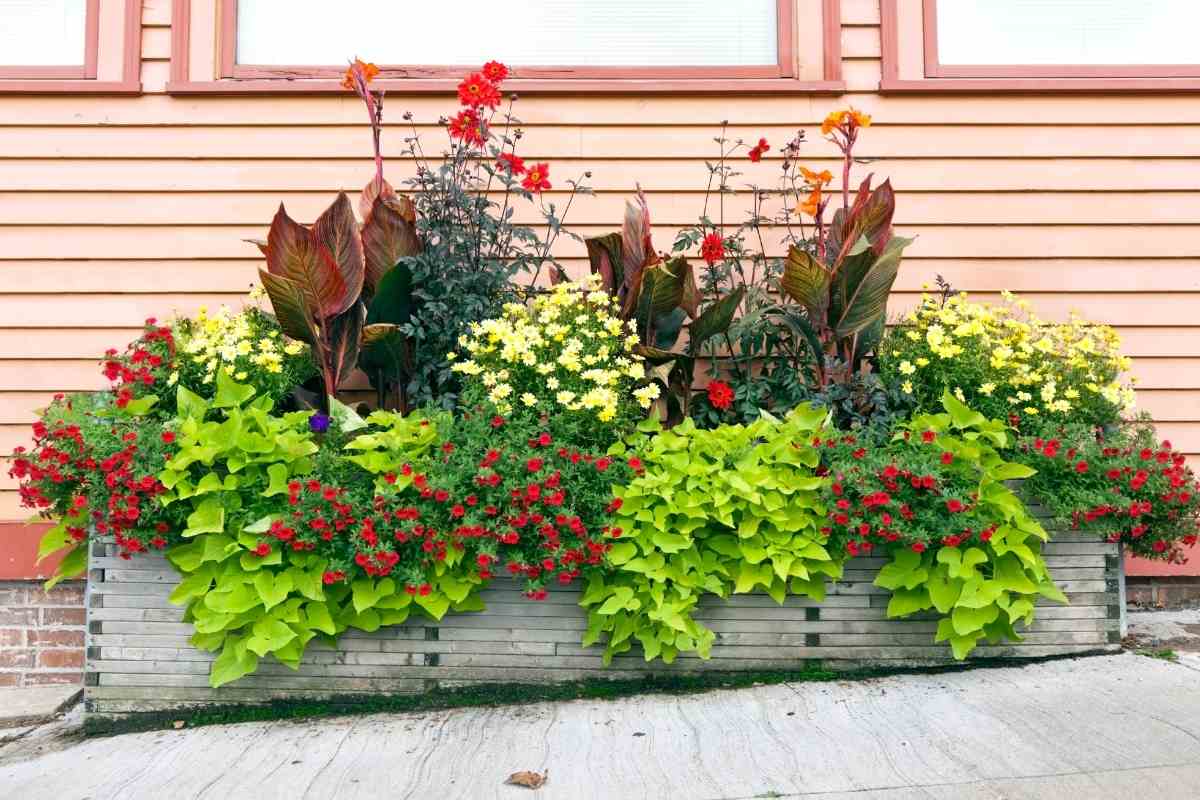 Lining Planters – 8 Types and Uses