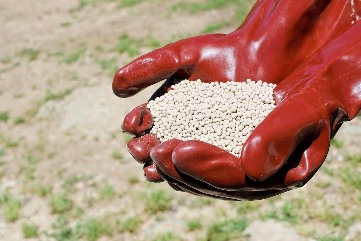 How Much Potassium Nitrate per Liter of Water: The Definitive Guide