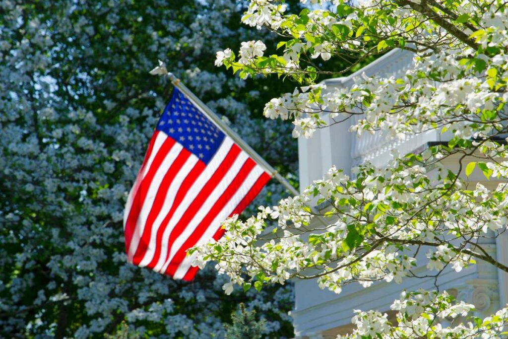 dogwood trees are great for landscaping