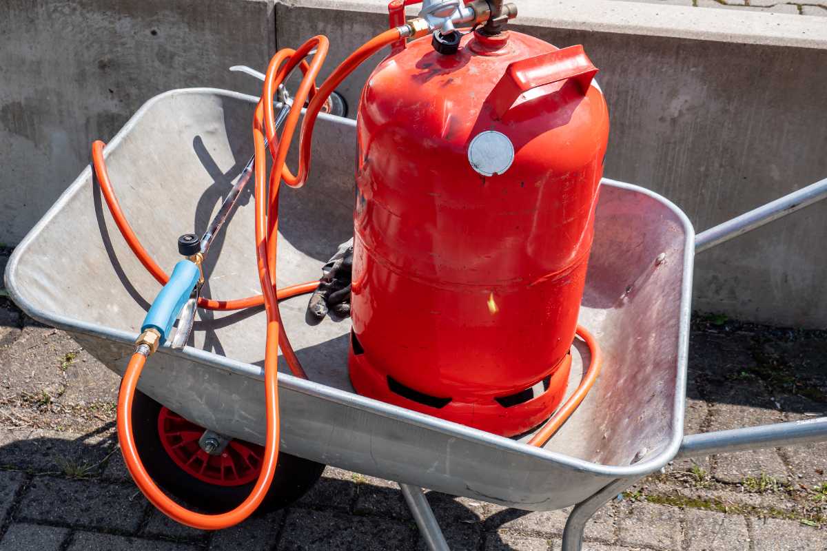 What type of gas does a backyard weed burner use?