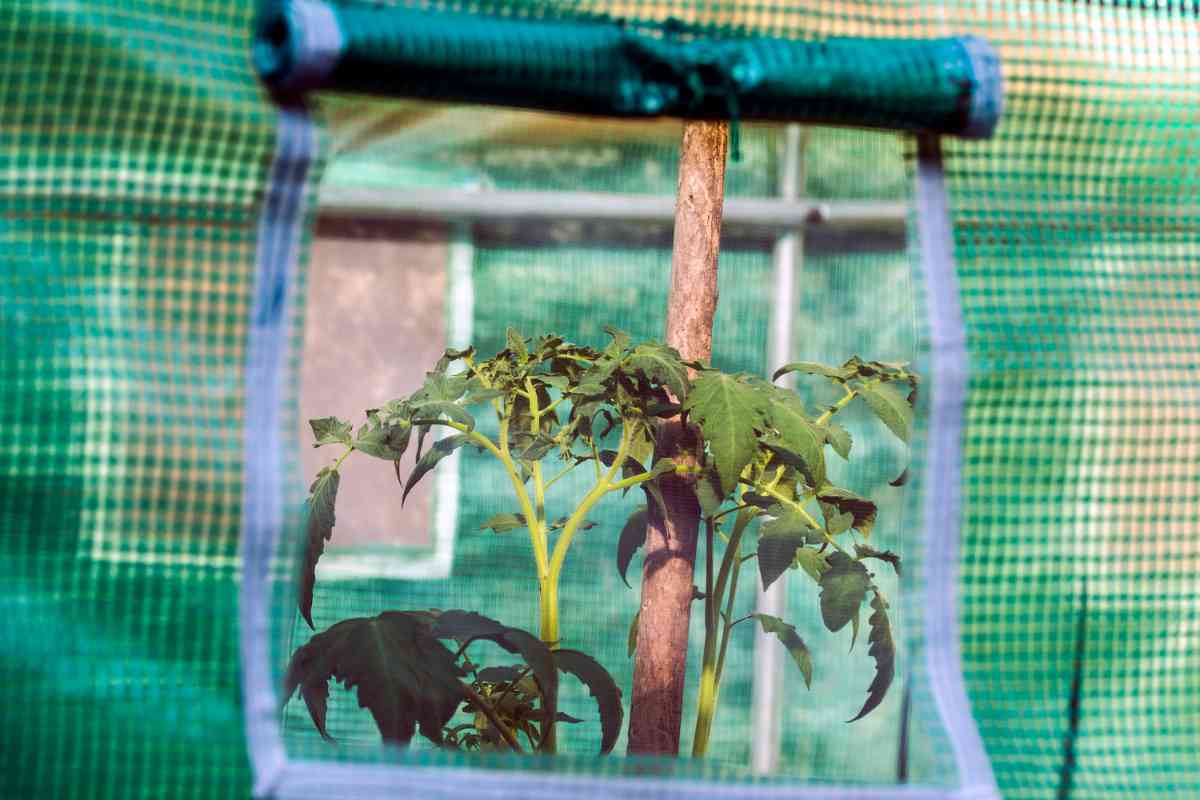 How to Heat a Grow Tent (Best Tips & Affordable Products)