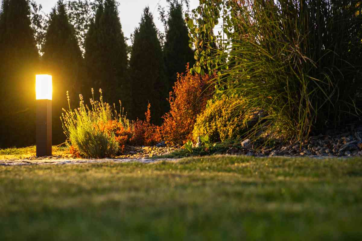 Low Voltage vs Solar Landscape Lighting (Shedding Light on the Debate)