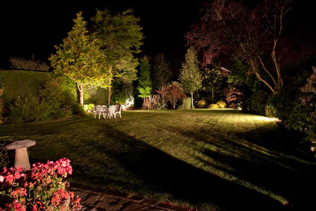 Flood vs Spotlight (Choosing the Right Illumination)