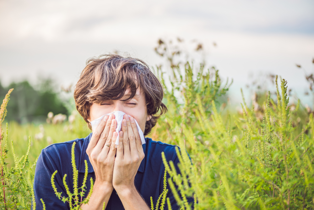 When Does Pollen Season Start (And What To Do When It Does)?