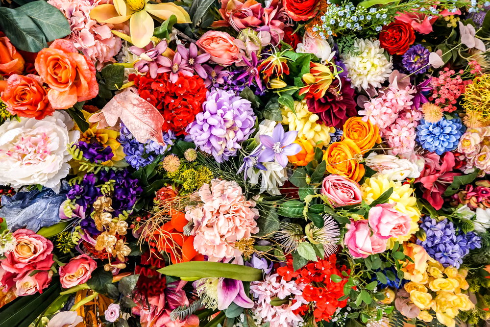 A background of mixed colorful flowers.